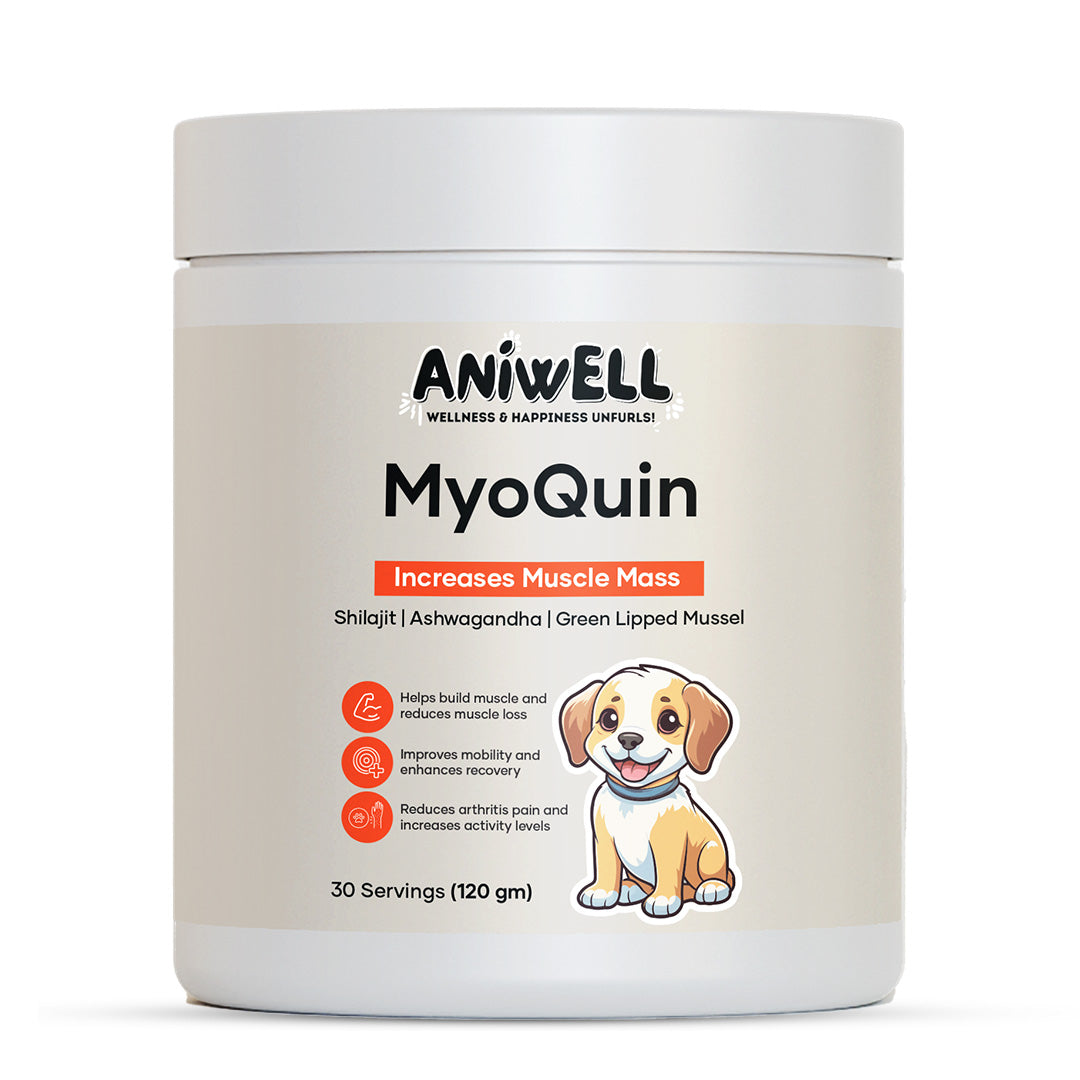 Aniwell MyoQuin: A Natural Muscle & Joints Formula For Mobility, Obesity, Nerve Function & Better Cartilage
