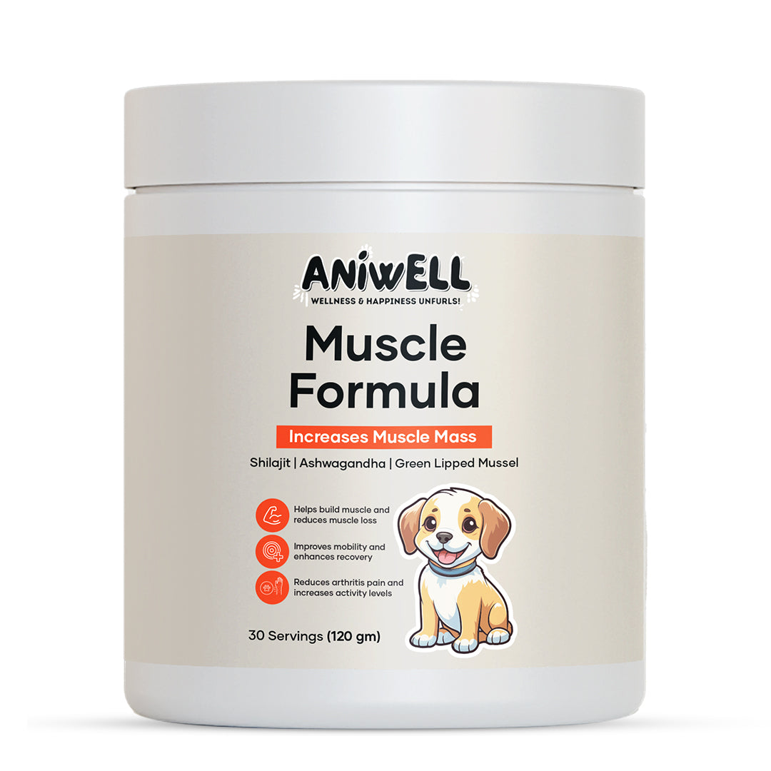 Aniwell Muscle Formula- Hip and Joint Supplement for Dogs: Powered by Shilajit Peptides , Ashwagandha Peptides , Green Lipped Mussel Peptides