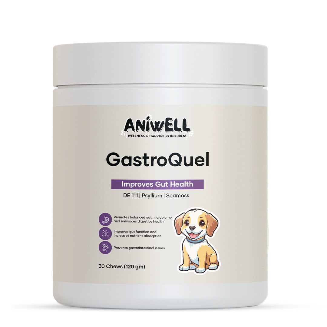 Aniwell GastroQuel: Probiotics Solution with Pumpkin and Manuka Honey For Gut Health, Diaerhea, Poop Health & Bowel Support