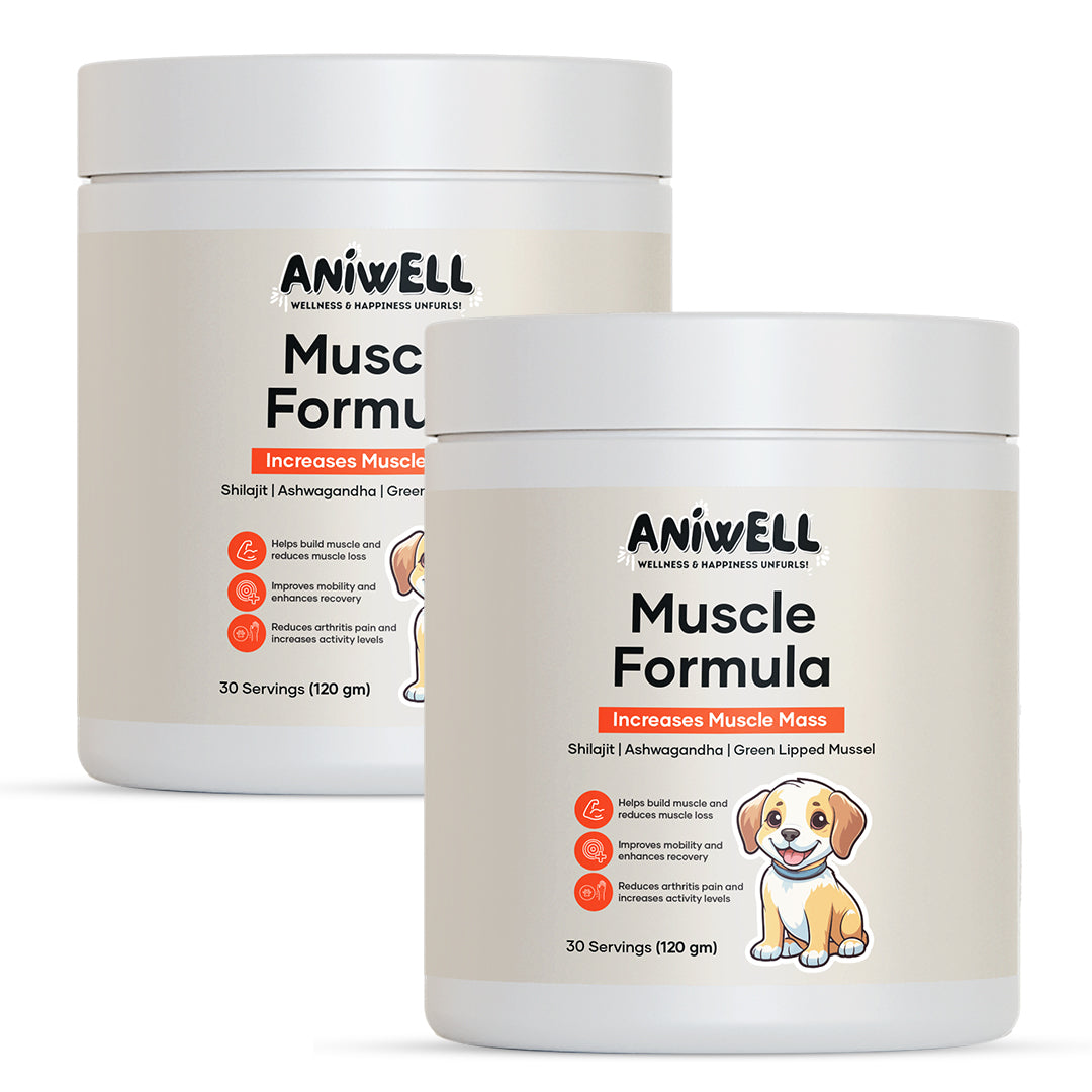 Aniwell Muscle Formula- Hip and Joint Supplement for Dogs: Powered by Shilajit Peptides , Ashwagandha Peptides , Green Lipped Mussel Peptides