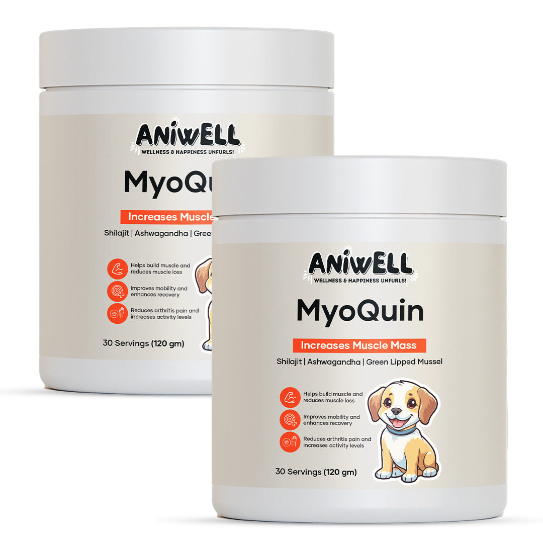 Aniwell MyoQuin: A Natural Muscle & Joints Formula For Mobility, Obesity, Nerve Function & Better Cartilage