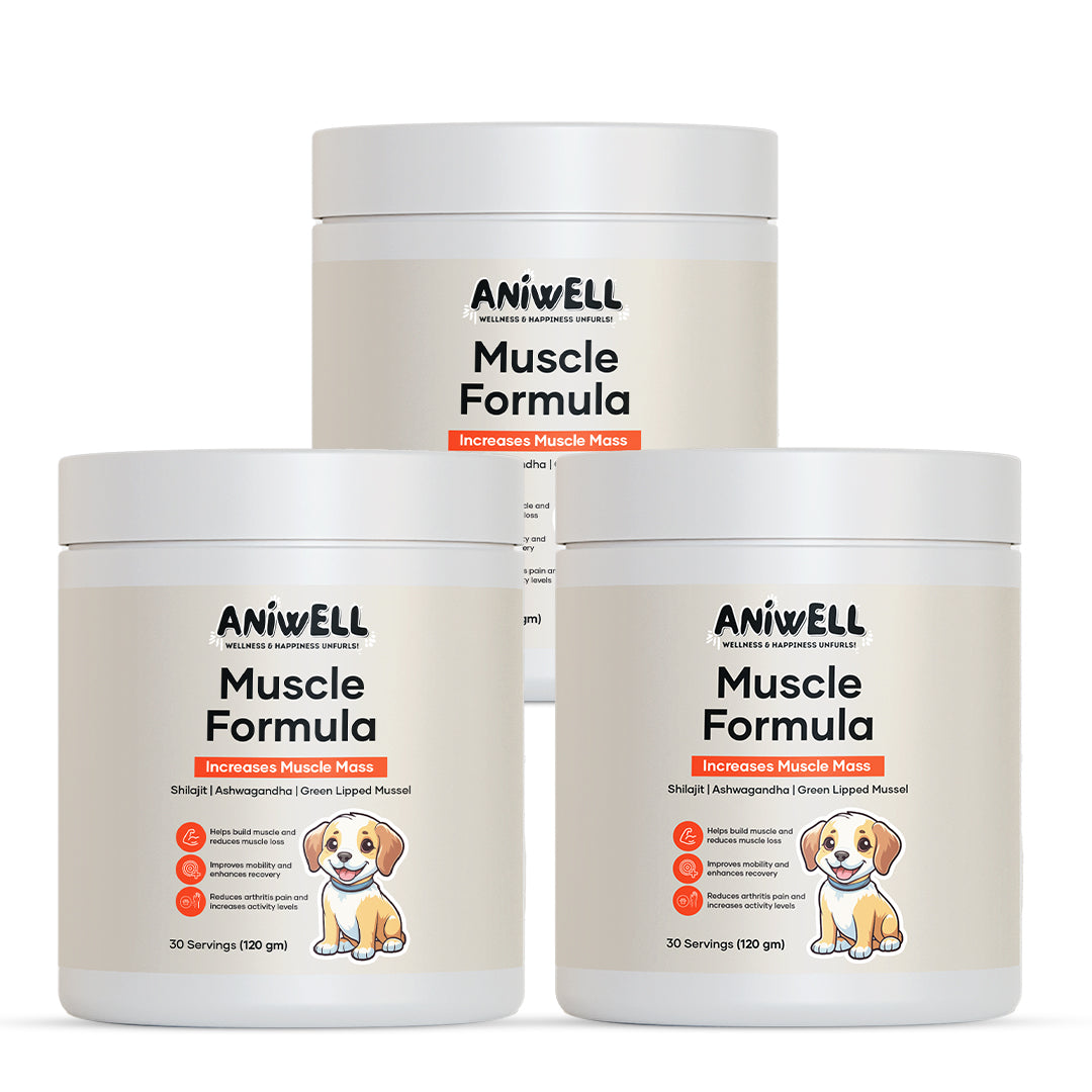 Aniwell Muscle Formula- Hip and Joint Supplement for Dogs: Powered by Shilajit Peptides , Ashwagandha Peptides , Green Lipped Mussel Peptides