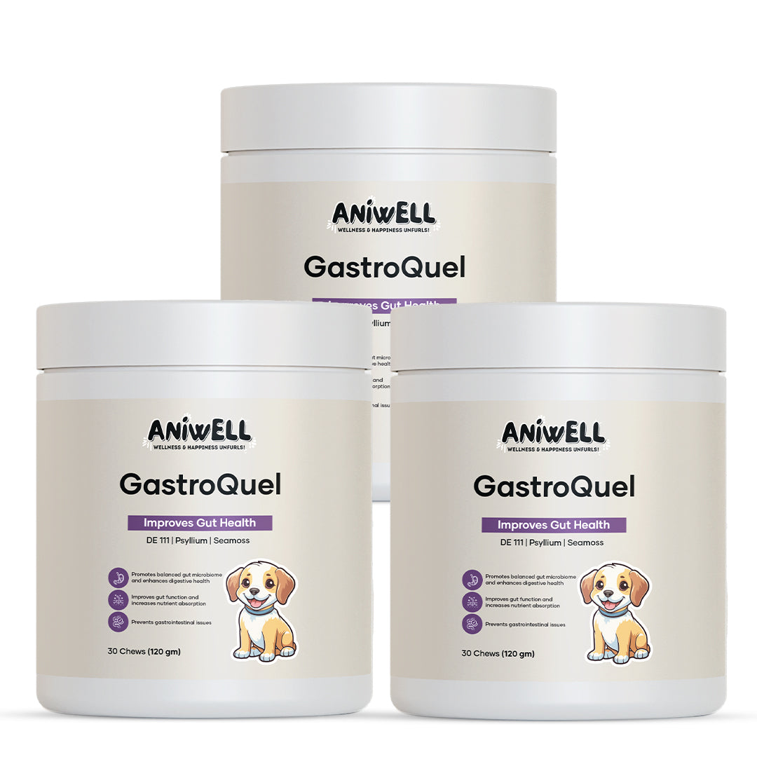 Aniwell GastroQuel: Probiotics Solution with Pumpkin and Manuka Honey For Gut Health, Diaerhea, Poop Health & Bowel Support