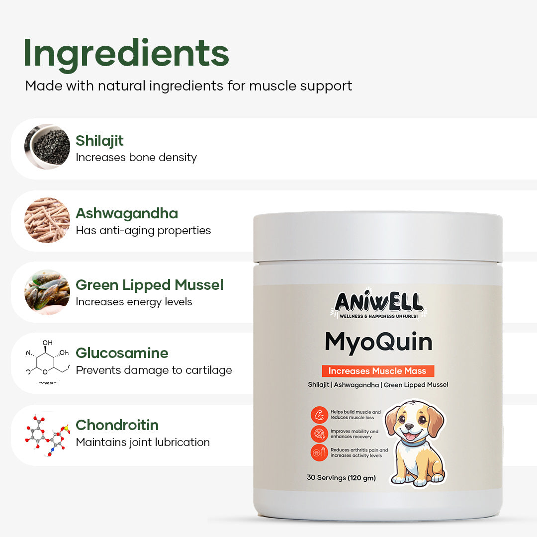 Aniwell MyoQuin: A Natural Muscle & Joints Formula For Mobility, Obesity, Nerve Function & Better Cartilage