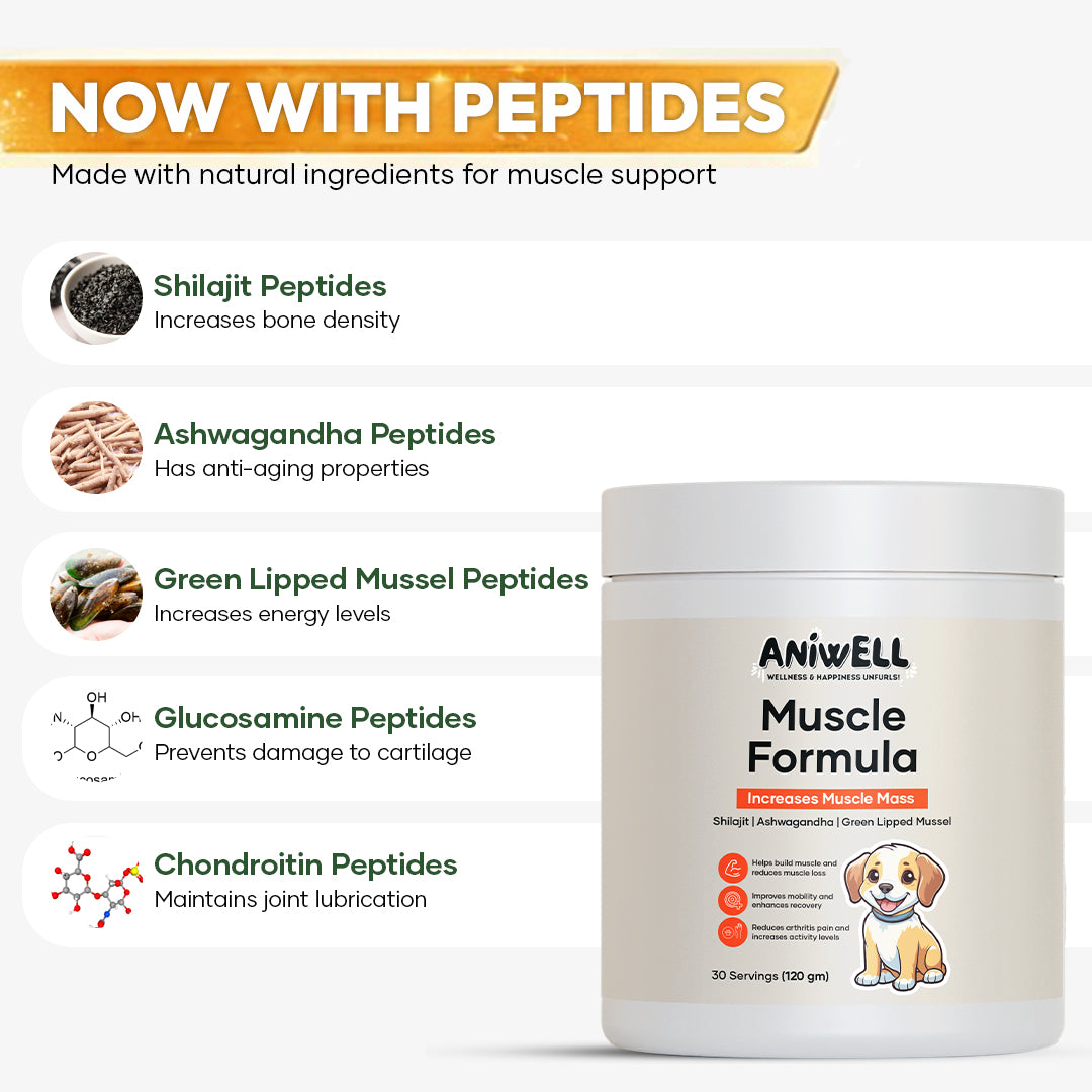 Aniwell Muscle Formula- Hip and Joint Supplement for Dogs: Powered by Shilajit Peptides , Ashwagandha Peptides , Green Lipped Mussel Peptides