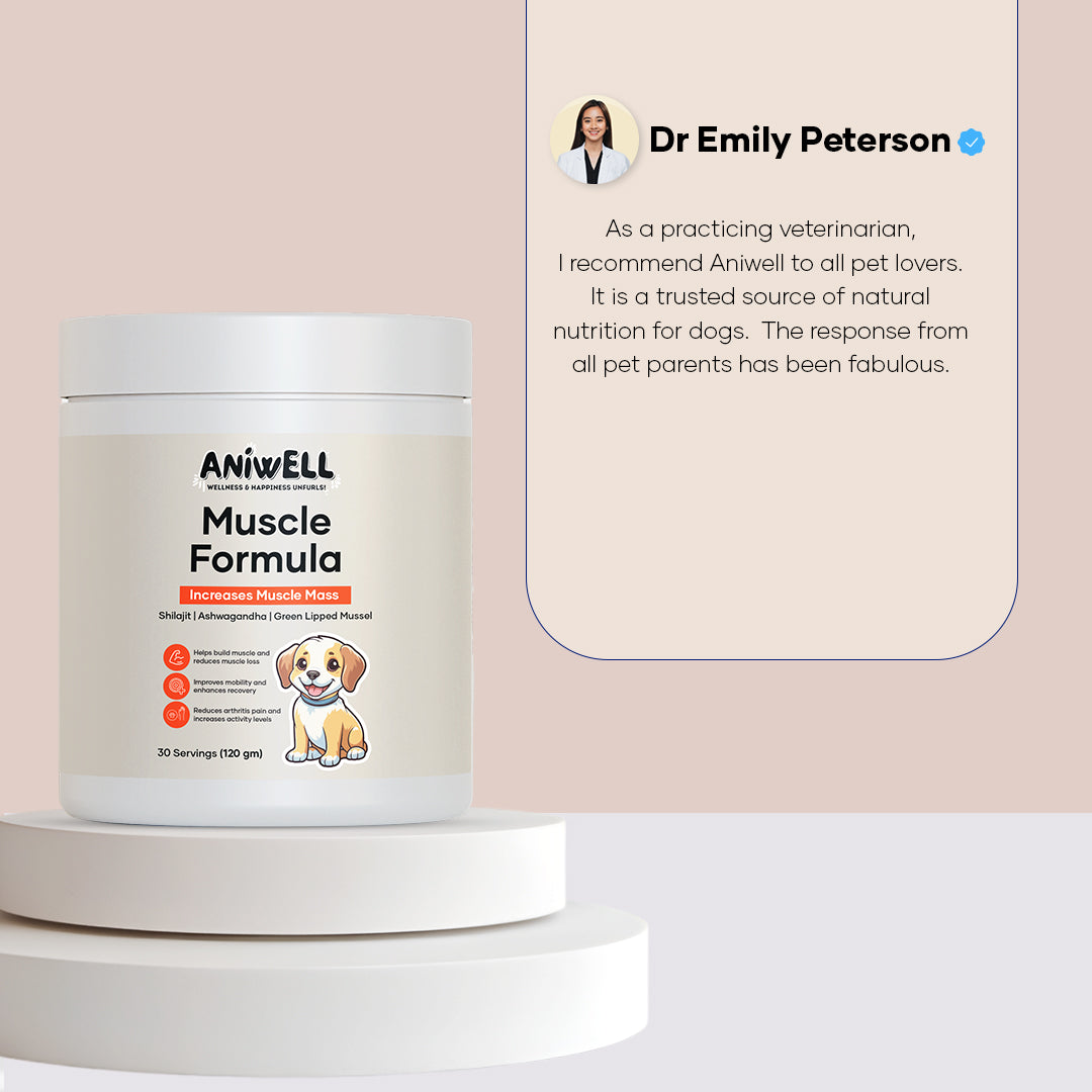 Aniwell Muscle Formula- Hip and Joint Supplement for Dogs: Powered by Shilajit Peptides , Ashwagandha Peptides , Green Lipped Mussel Peptides