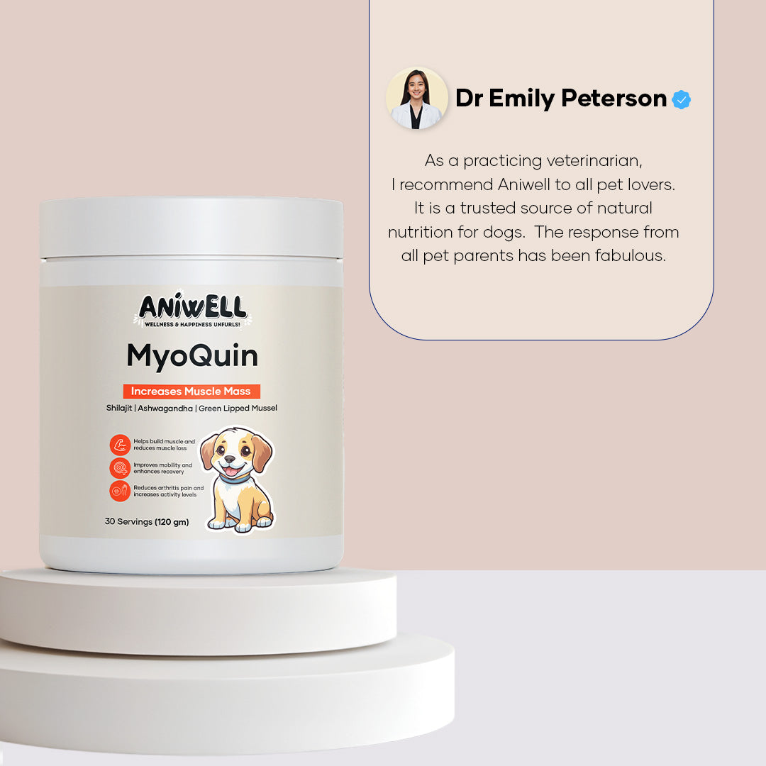 Aniwell MyoQuin: A Natural Muscle & Joints Formula For Mobility, Obesity, Nerve Function & Better Cartilage