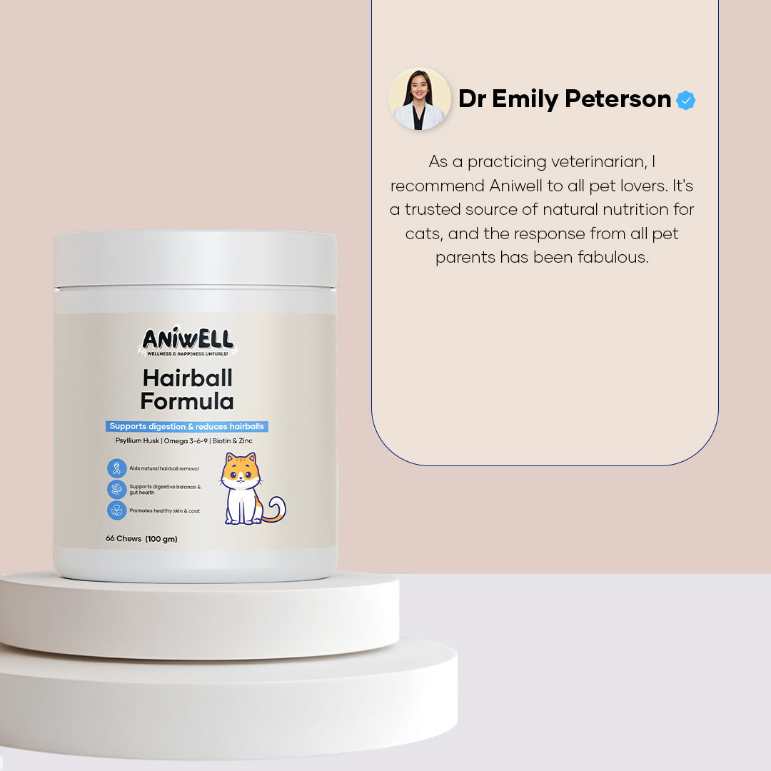 Aniwell Hairball Formula – Hairball Management with Omega-3s & Biotin for Cats