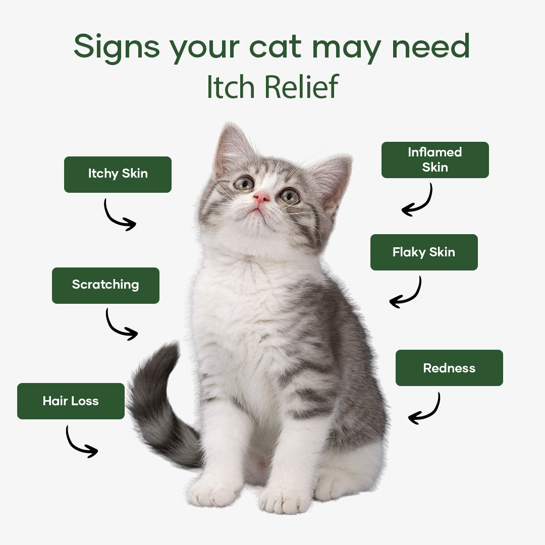 Aniwell Feline Itch Relief For Cats.
