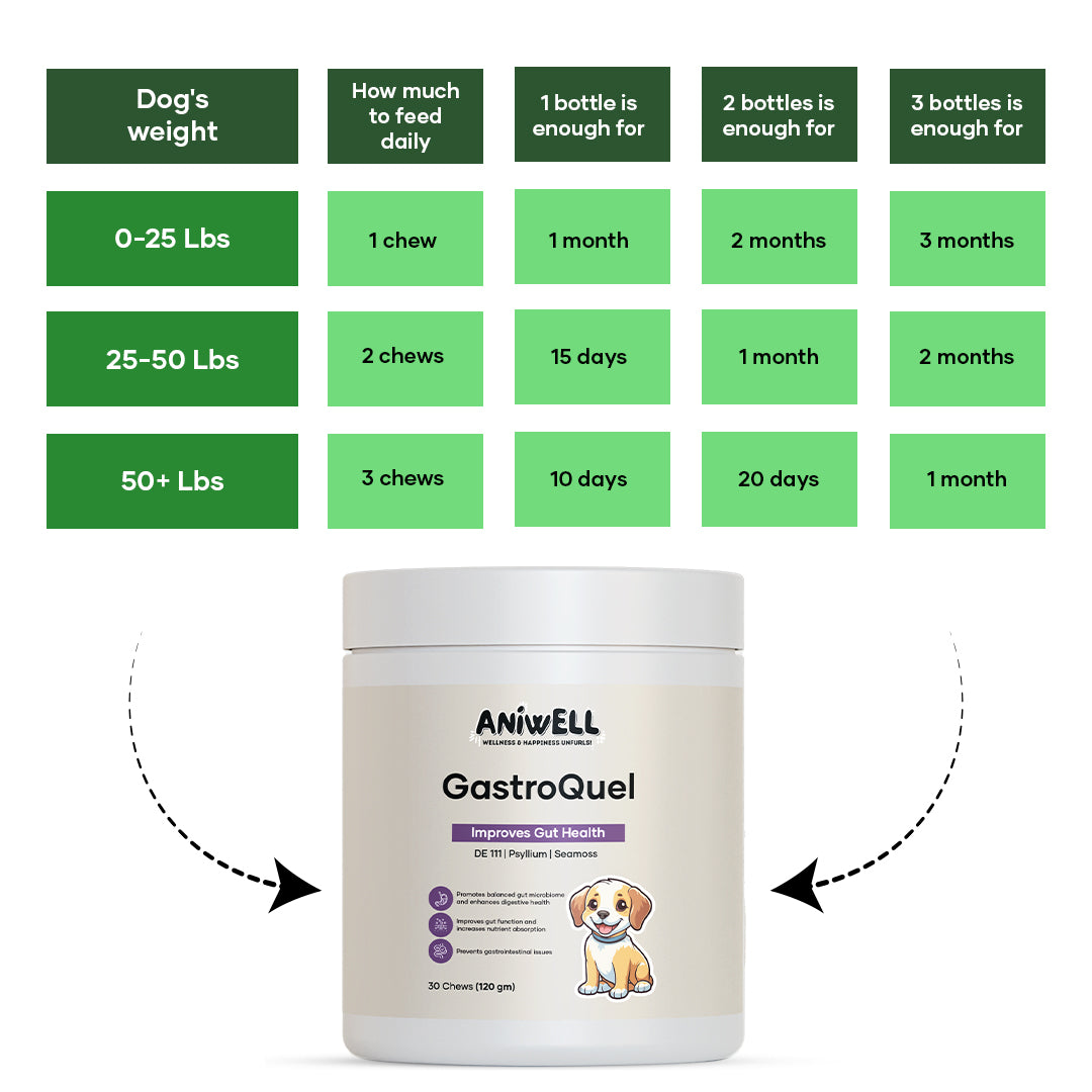 Aniwell GastroQuel: Probiotics Solution with Pumpkin and Manuka Honey For Gut Health, Diaerhea, Poop Health & Bowel Support