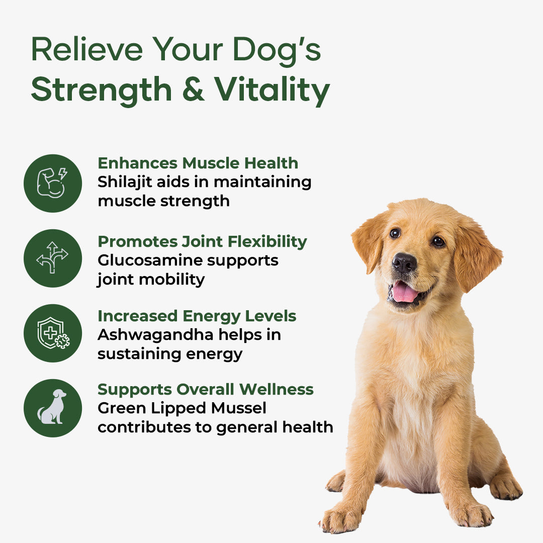 Aniwell Muscle Formula- Hip and Joint Supplement for Dogs: Powered by Shilajit Peptides , Ashwagandha Peptides , Green Lipped Mussel Peptides