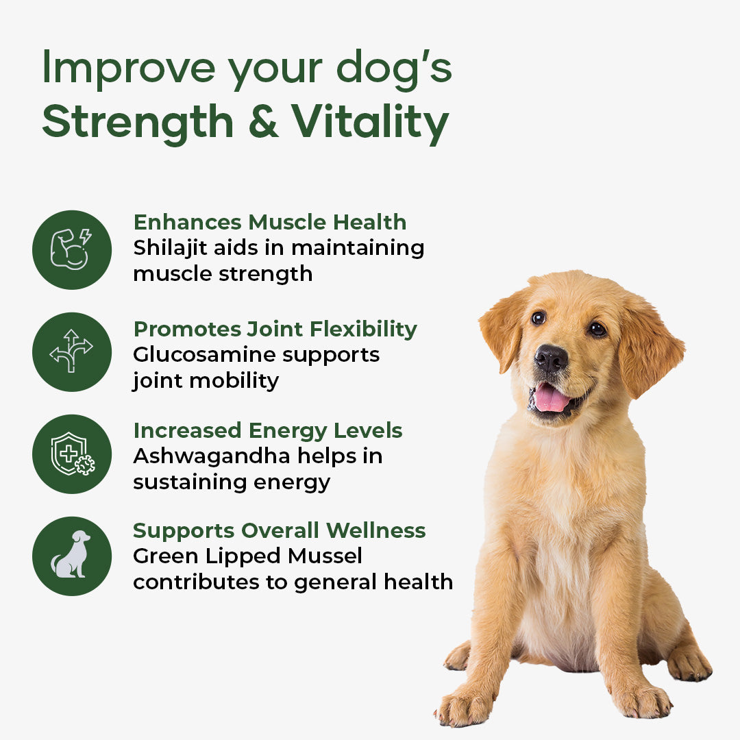 Aniwell MyoQuin: A Natural Muscle & Joints Formula For Mobility, Obesity, Nerve Function & Better Cartilage