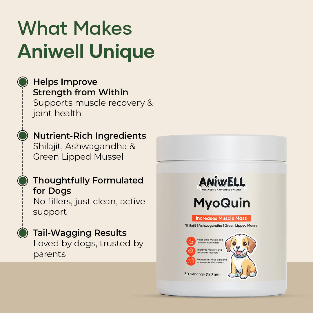 Aniwell MyoQuin: A Natural Muscle & Joints Formula For Mobility, Obesity, Nerve Function & Better Cartilage