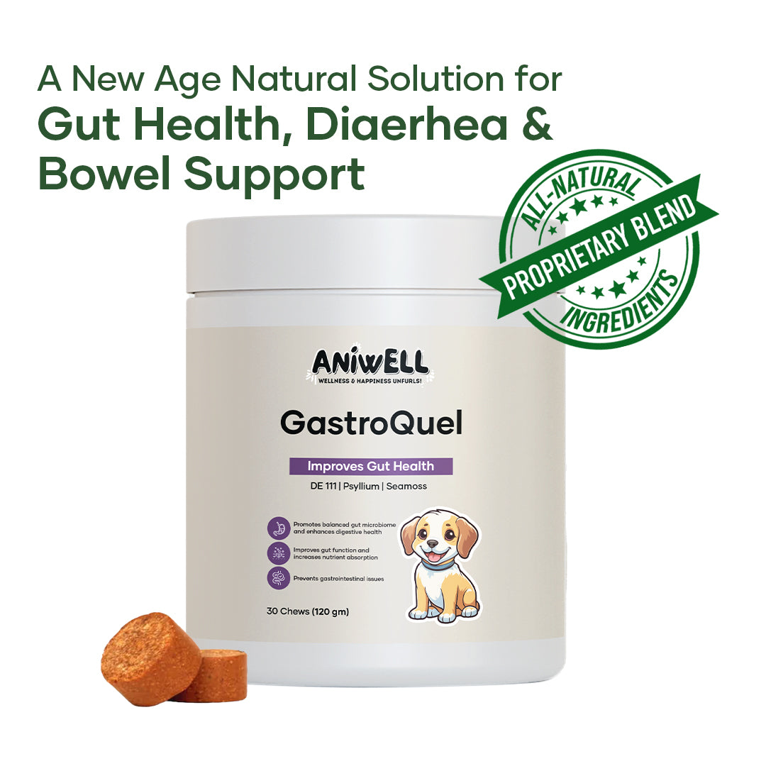 Aniwell GastroQuel: Probiotics Solution with Pumpkin and Manuka Honey For Gut Health, Diaerhea, Poop Health & Bowel Support