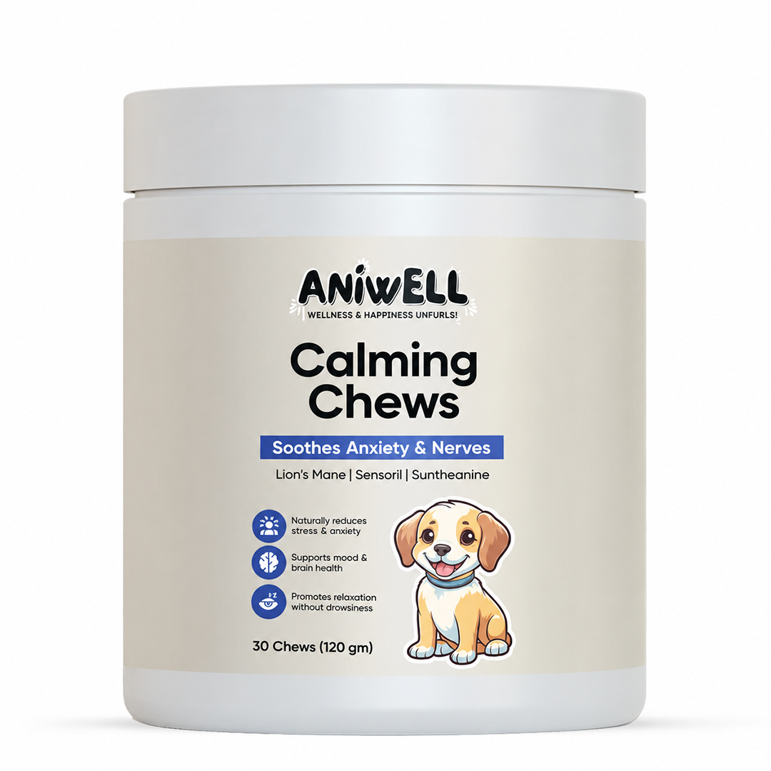 Aniwell Calming Chews: Powered by Lions Mane, Sensoril, Ashwagandha, and Suntheanine