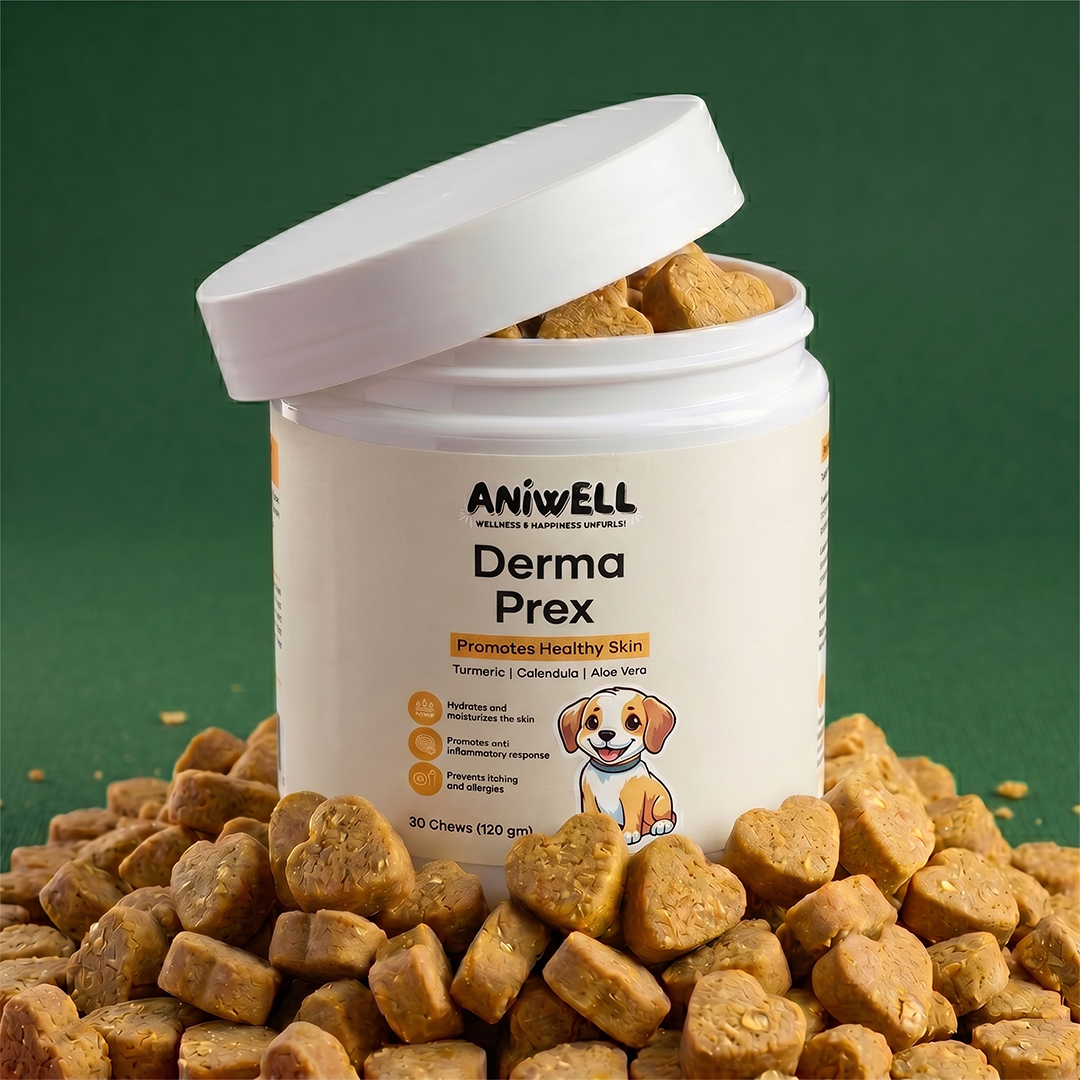 Aniwell DermaPrex: A New Age Natural Formula For Itching, Bald Spots, Inflammation, Paw Licking & Allergy