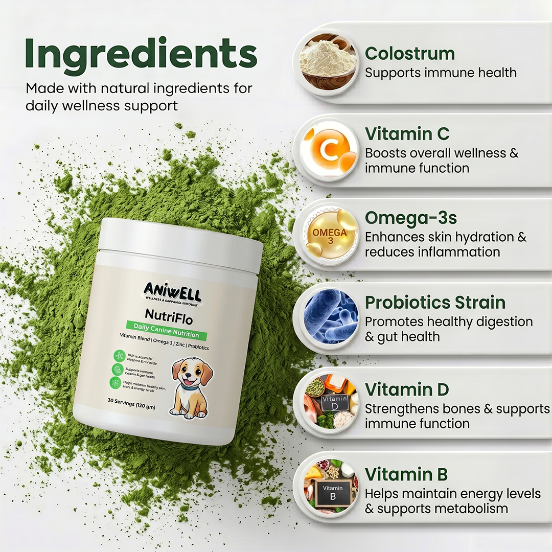 NutriFlo: Dog Vitamins & Supplements - 10-in-1 Multivitamin Powder, Premium Supplement for Dental Health, Longevity, Hip & Joint, Gut Health, Allergies, Immune Support, Skin & Coat