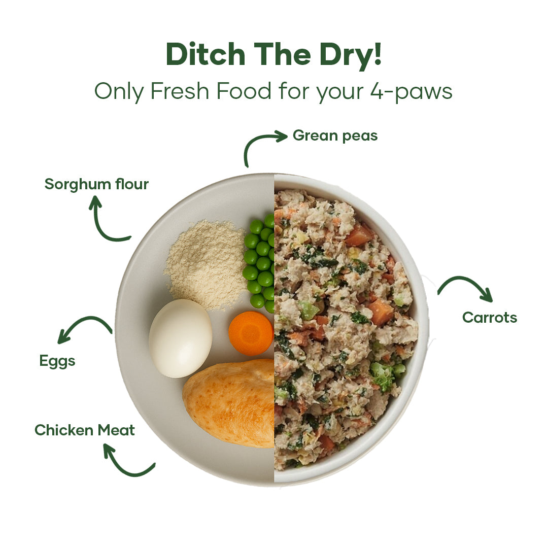 Aniwell Fresh Food: Powered with Real Meat, Veggies & Natural Herbs