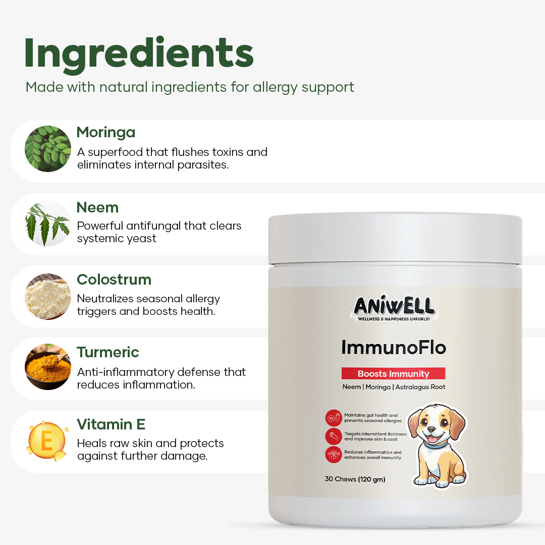 Aniwell ImmunoFlo: A New Age Natural Solution for Allergies, Itching, Hot Spots, Paw Licking & Immunity