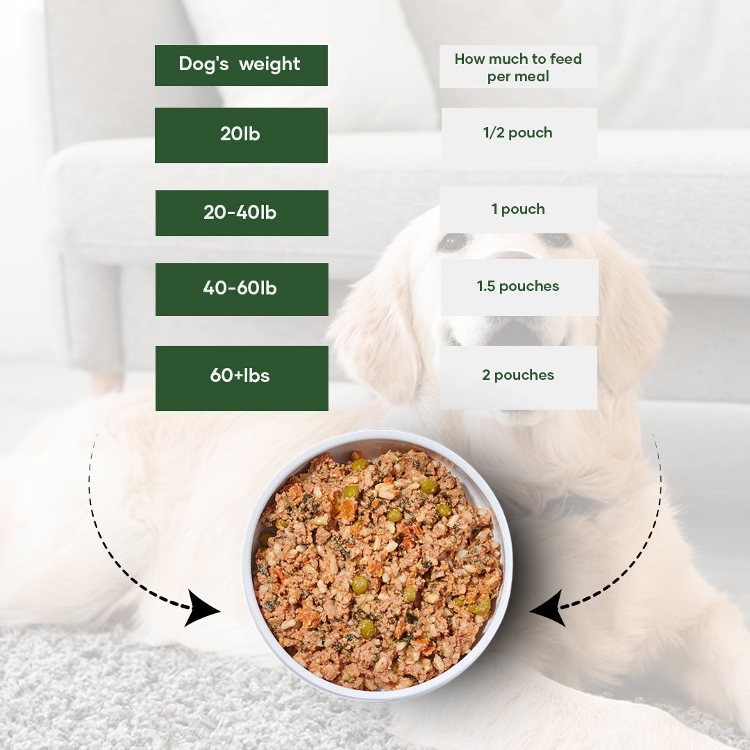 Aniwell Fresh Food: Powered with Real Meat, Veggies & Natural Herbs