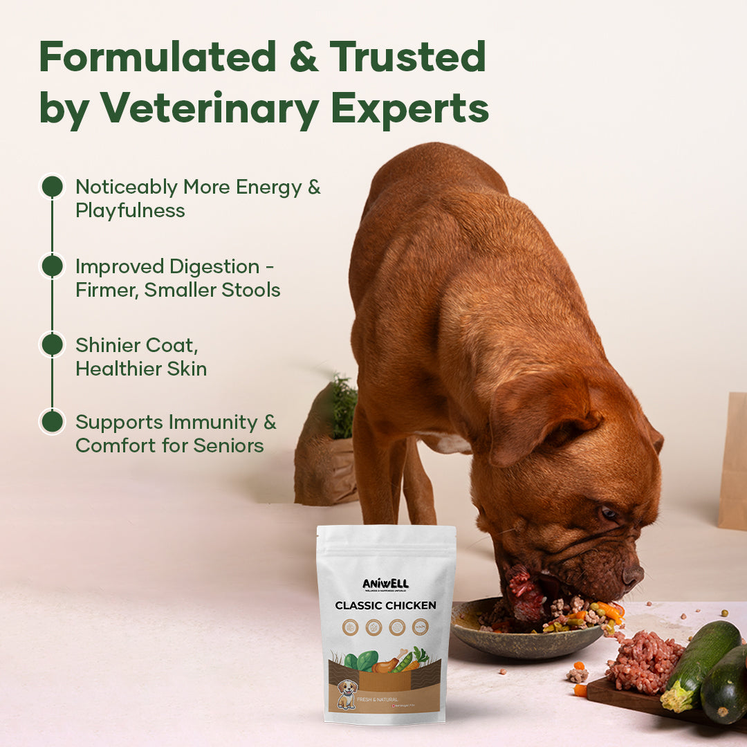 Aniwell Fresh Food: Powered with Real Meat, Veggies & Natural Herbs