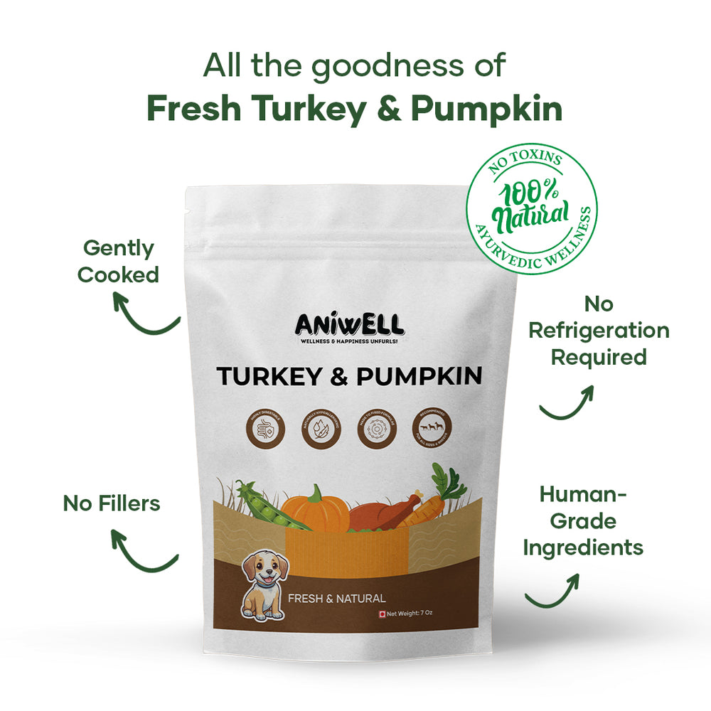 Turkey & Pumpkin