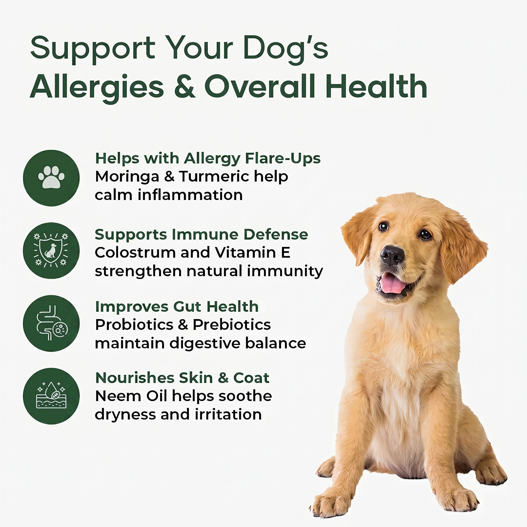 Aniwell Allergy & Immune Formula: Powered by Neem, Moringa, Turmeric