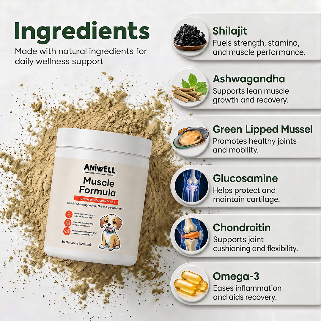 Aniwell Muscle Formula- Muscle, Hip & Joint Supplement for Dogs: Powered by Shilajit , Ashwagandha , Green Lipped Mussel