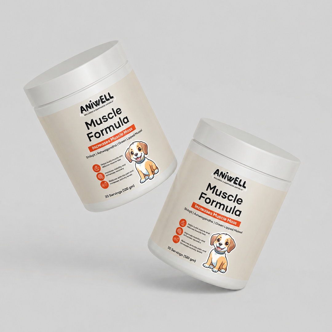 Aniwell Muscle Formula- Muscle, Hip & Joint Supplement for Dogs: Powered by Shilajit , Ashwagandha , Green Lipped Mussel