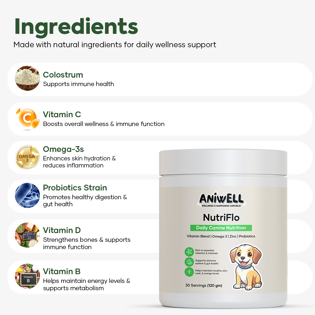 NutriFlo: Dog Vitamins & Supplements - 10-in-1 Multivitamin Powder, Premium Supplement for Dental Health, Longevity, Hip & Joint, Gut Health, Allergies, Immune Support, Skin & Coat.