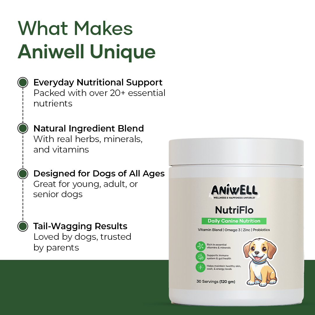 NutriFlo: Dog Vitamins & Supplements - 10-in-1 Multivitamin Powder, Premium Supplement for Dental Health, Longevity, Hip & Joint, Gut Health, Allergies, Immune Support, Skin & Coat.