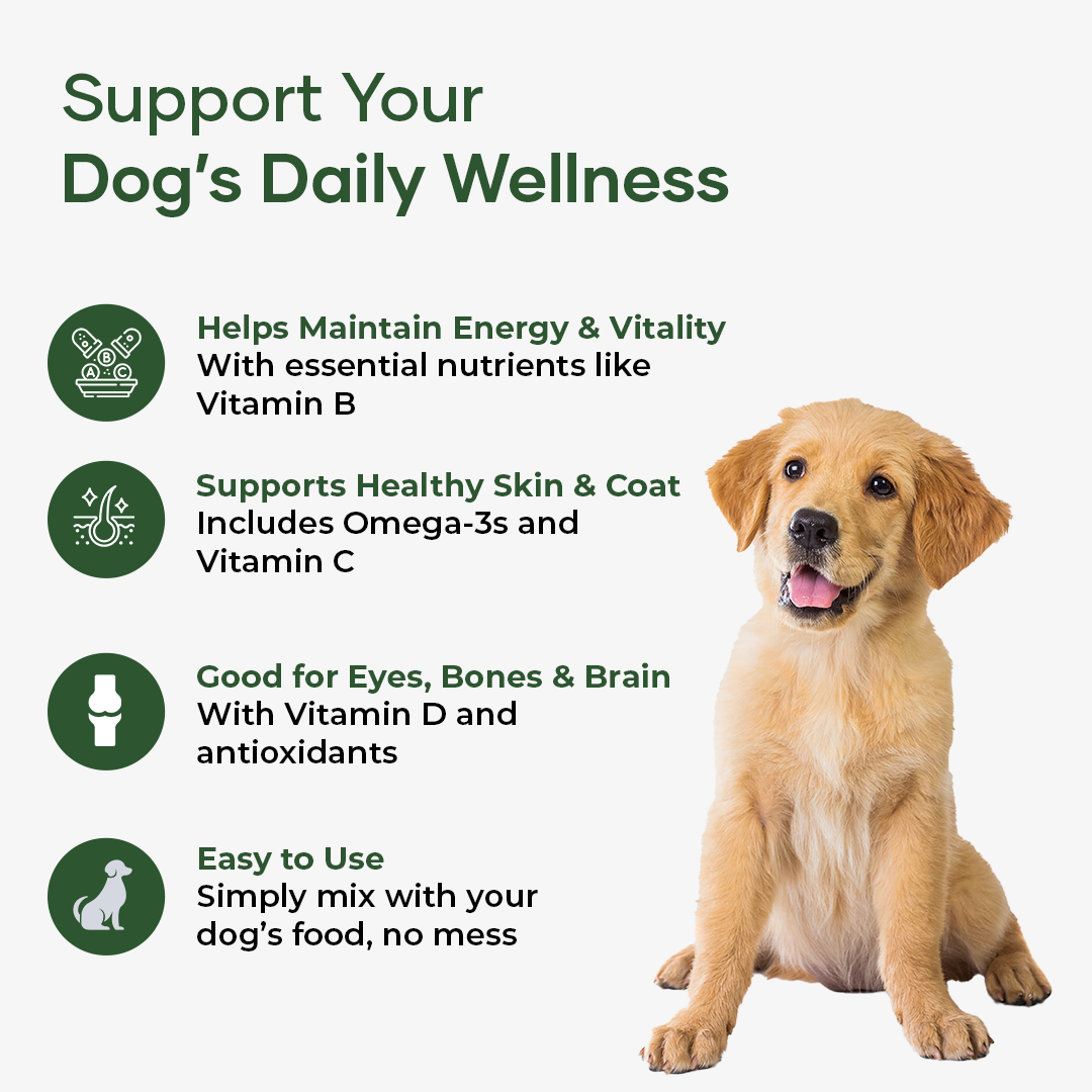 NutriFlo: Dog Vitamins & Supplements - 10-in-1 Multivitamin Powder, Premium Supplement for Dental Health, Longevity, Hip & Joint, Gut Health, Allergies, Immune Support, Skin & Coat.