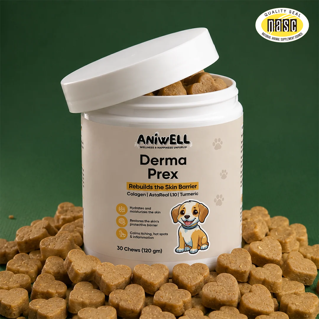 Aniwell DermaPrex: A New Age Natural Formula For Itching, Bald Spots, Inflammation, Paw Licking & Allergy