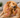 Itchy Dog? Here's What Their Scratching Could Mean