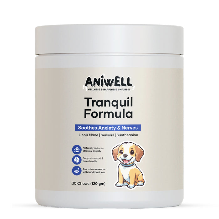 Aniwell Lions Mane & Ashwagandha Tranquil Chews: Powered by Lions Mane, Sensoril, Ashwagandha, and Suntheanine