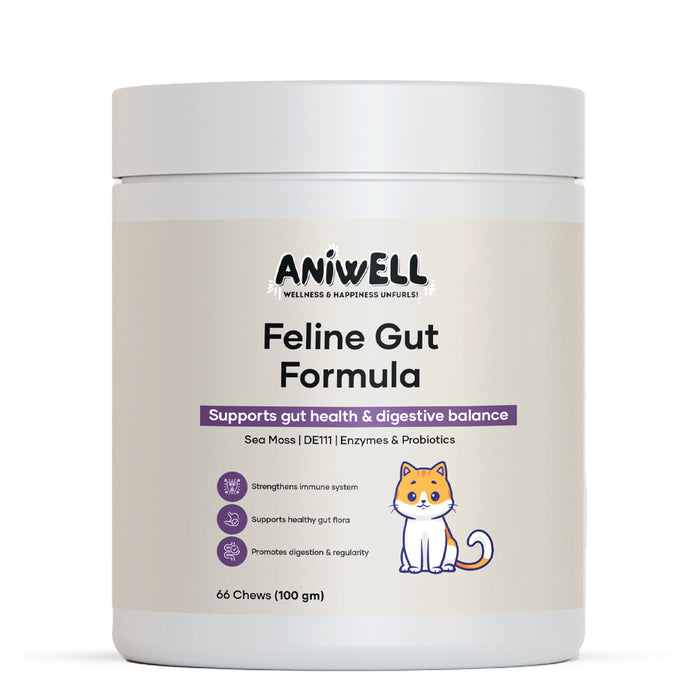 Aniwell Feline Gut Formula: Probiotics & Digestive Support for Cats