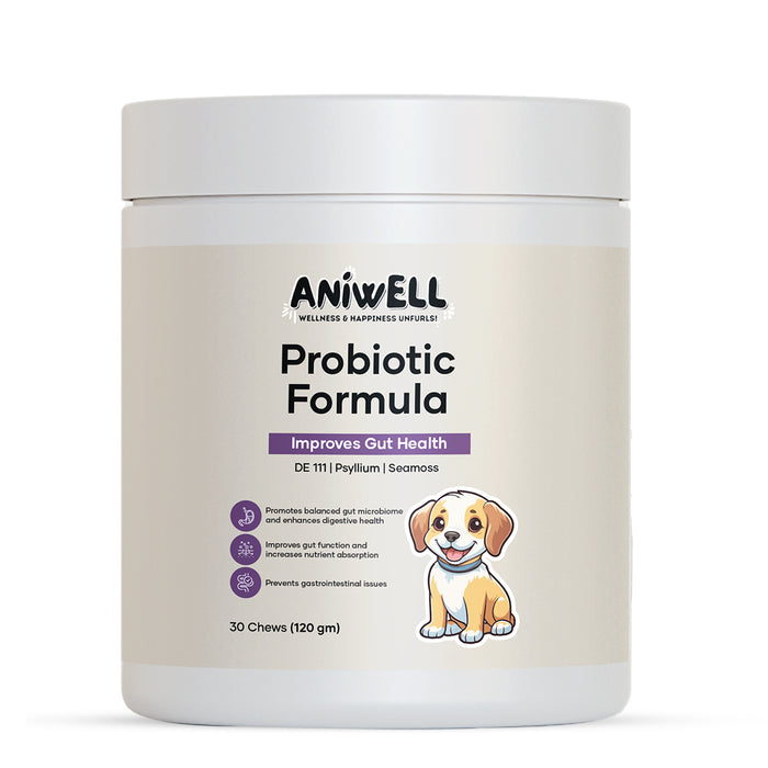 Aniwell Probiotic Formula: Powered by Moringa, DE111, SeaMoss, & Mixed Tocopherols