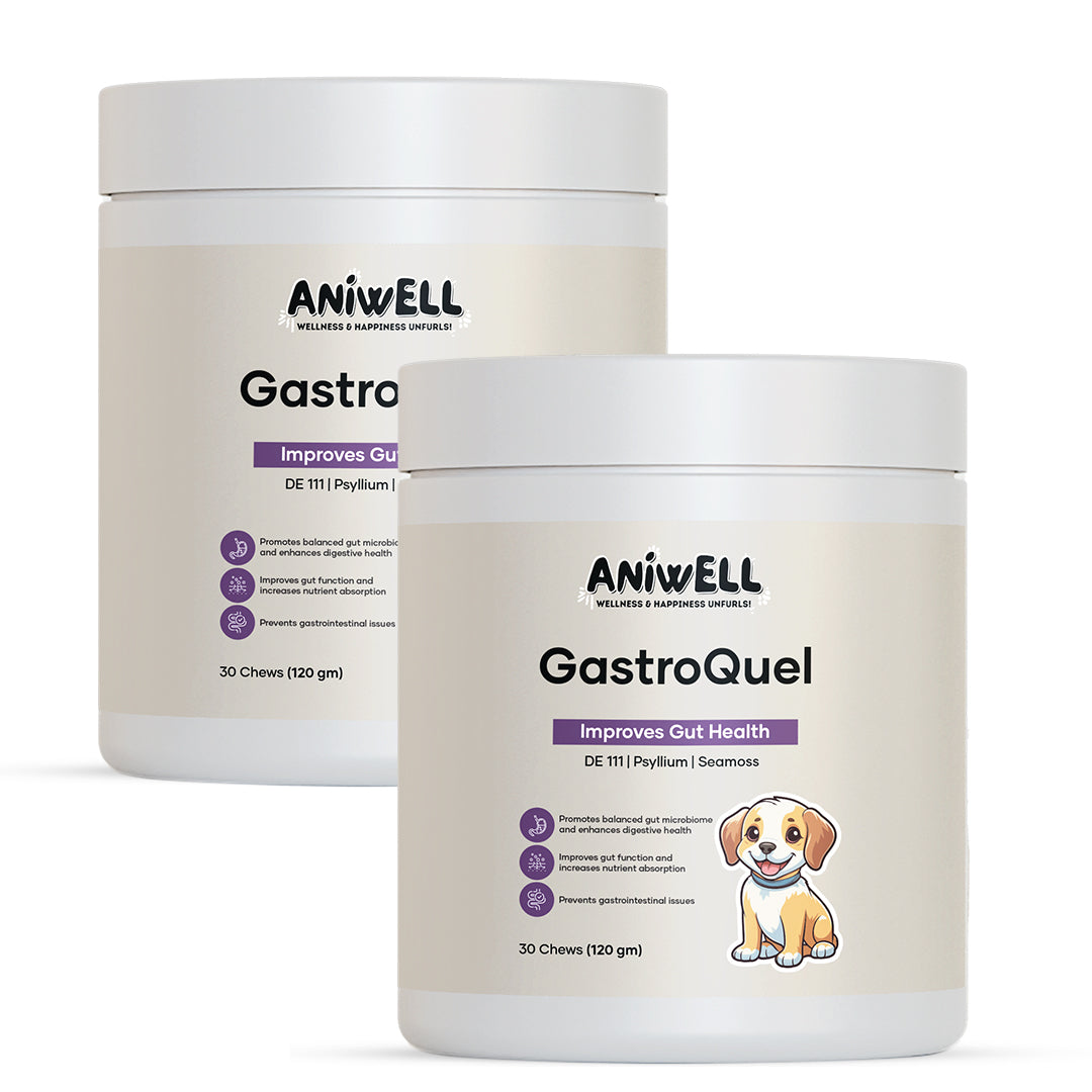 Aniwell GastroQuel: Probiotics Solution with Pumpkin and Manuka Honey For Gut Health, Diaerhea, Poop Health & Bowel Support