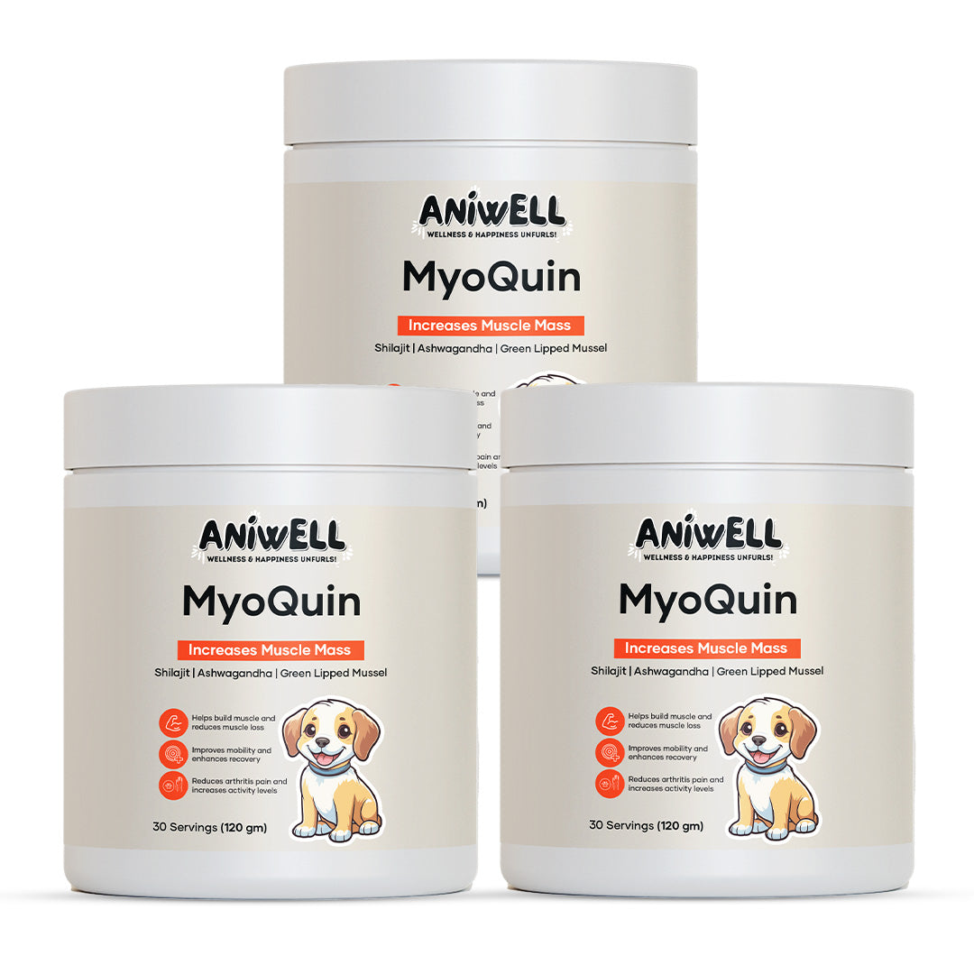 Aniwell MyoQuin: A Natural Muscle & Joints Formula For Mobility, Obesity, Nerve Function & Better Cartilage