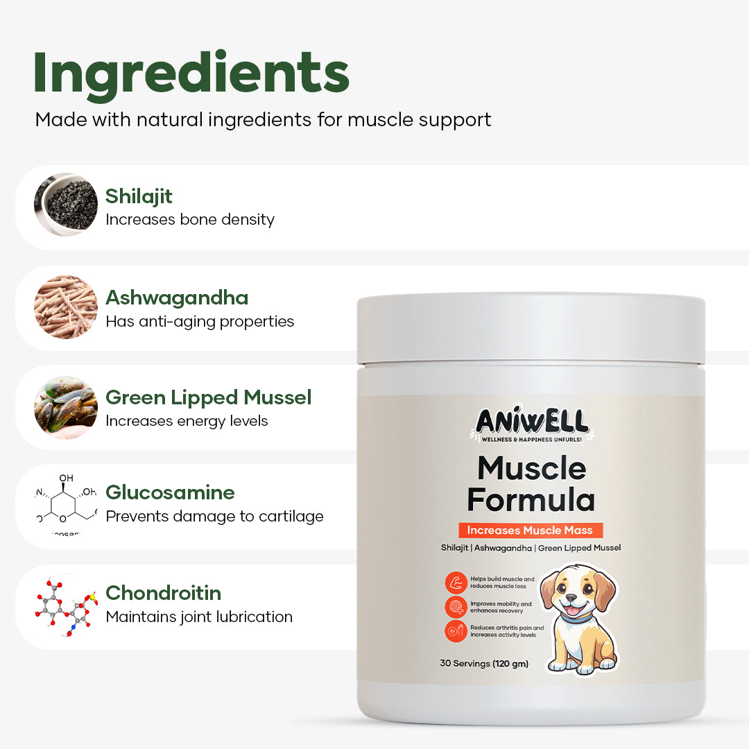 Aniwell Muscle Formula- Hip and Joint Supplement for Dogs: Powered by Shilajit , Ashwagandha , Green Lipped Mussel