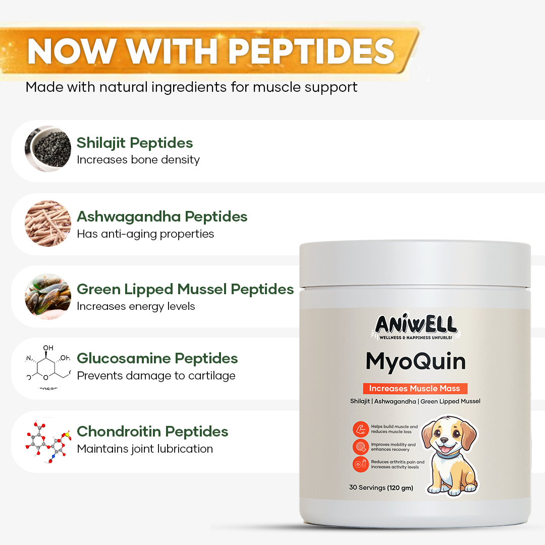 Aniwell MyoQuin: A Natural Muscle & Joints Formula For Mobility, Obesity, Nerve Function & Better Cartilage