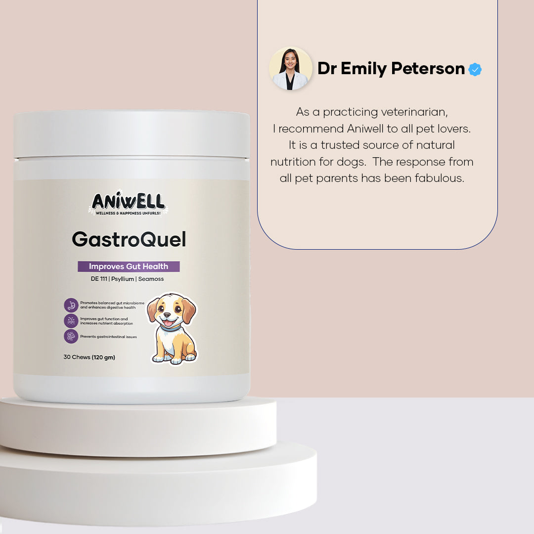 Aniwell GastroQuel: Probiotics Solution with Pumpkin and Manuka Honey For Gut Health, Diaerhea, Poop Health & Bowel Support