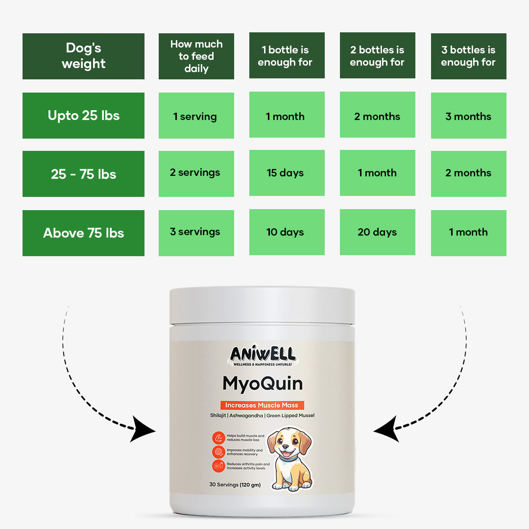 Aniwell MyoQuin: A Natural Muscle & Joints Formula For Mobility, Obesity, Nerve Function & Better Cartilage