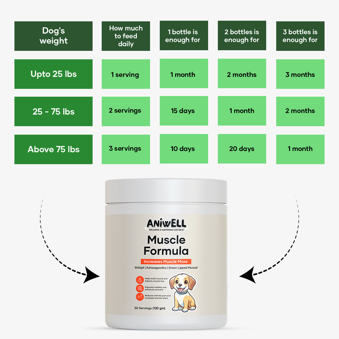 Aniwell Muscle Formula- Hip and Joint Supplement for Dogs: Powered by Shilajit Peptides , Ashwagandha Peptides , Green Lipped Mussel Peptides