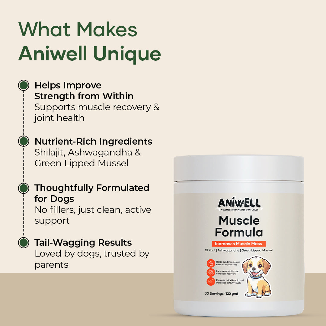 Aniwell Muscle Formula- Hip and Joint Supplement for Dogs: Powered by Shilajit Peptides , Ashwagandha Peptides , Green Lipped Mussel Peptides
