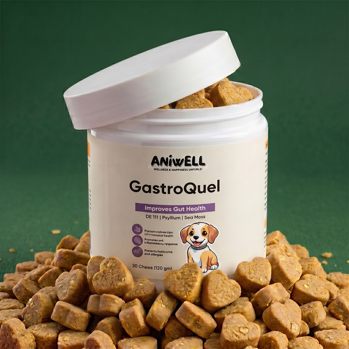 Aniwell GastroQuel: Probiotics Solution with Pumpkin and Manuka Honey For Gut Health, Diaerhea, Poop Health & Bowel Support