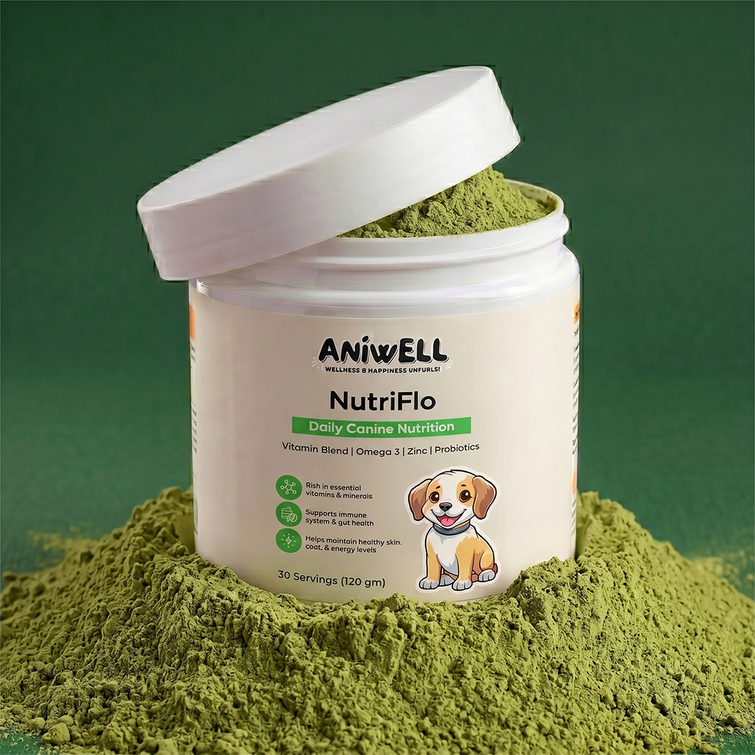NutriFlo: Premium Dog Multivitamin