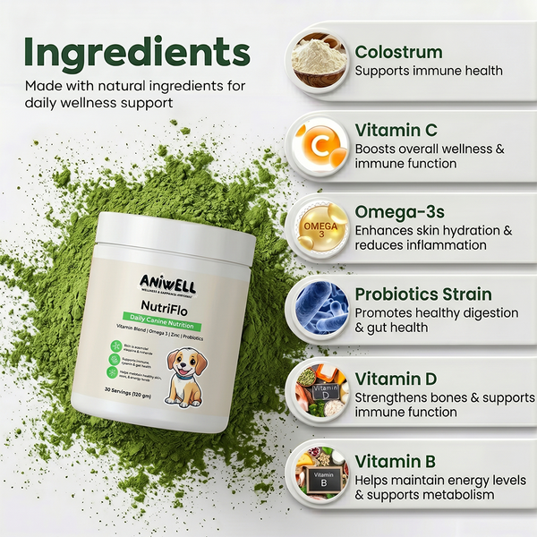 NutriFlo: Dog Vitamins & Supplements - 10-in-1 Multivitamin Powder, Premium Supplement for Dental Health, Longevity, Hip & Joint, Gut Health, Allergies, Immune Support, Skin & Coat
