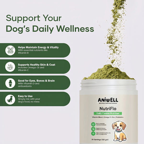 NutriFlo: Dog Vitamins & Supplements - 10-in-1 Multivitamin Powder, Premium Supplement for Dental Health, Longevity, Hip & Joint, Gut Health, Allergies, Immune Support, Skin & Coat