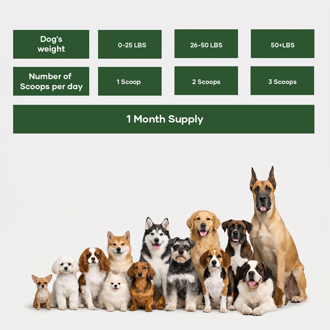 NutriFlo: Dog Vitamins & Supplements - 10-in-1 Multivitamin Powder, Premium Supplement for Dental Health, Longevity, Hip & Joint, Gut Health, Allergies, Immune Support, Skin & Coat